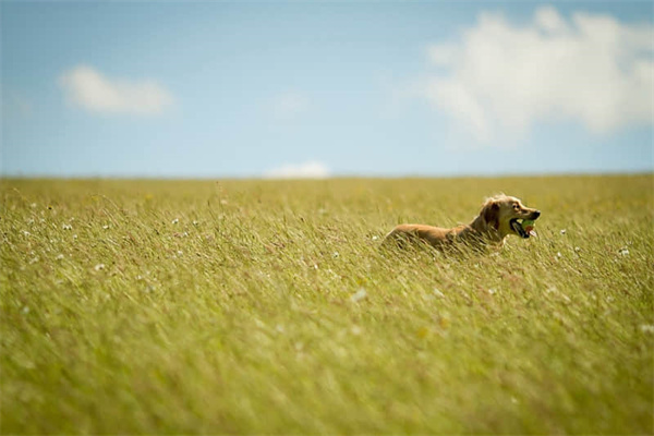 大年三十云南旅游攻略图片-大年三十景点开放吗
