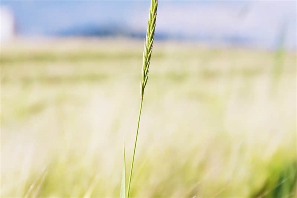 西宁天气旅游景点-青海西宁旅游天气